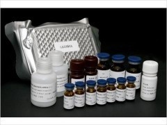 人甘胆酸(CG)ELISA试剂盒说明书_供应产品_北京杰辉生物技术有限公司